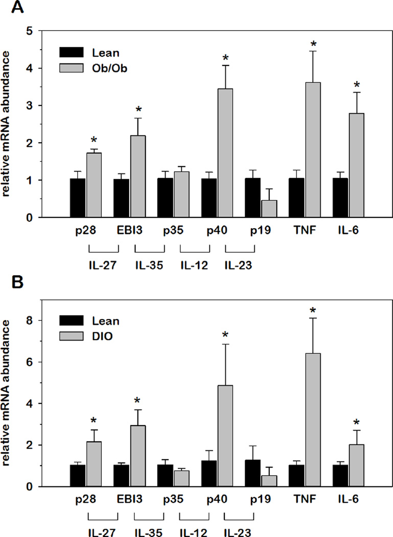 Fig.2