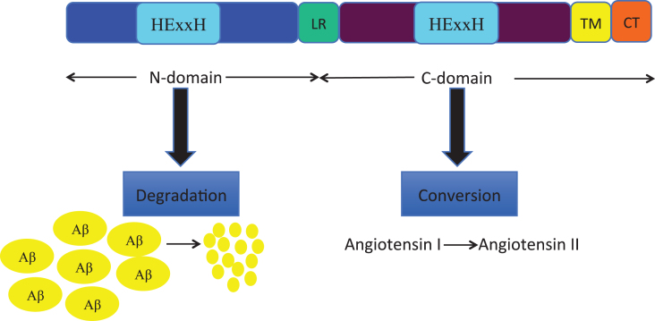 Fig.1