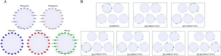 Fig. 9