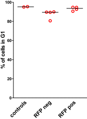 Figure 6—figure supplement 2.
