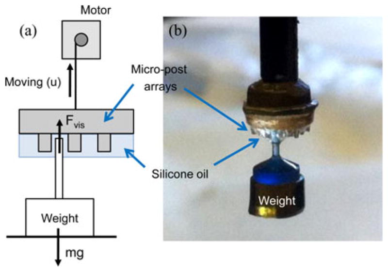 Fig. 10