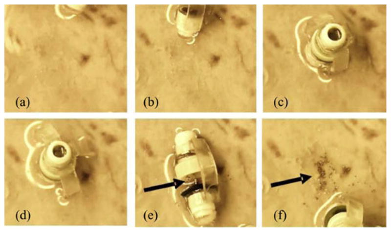 Fig. 12