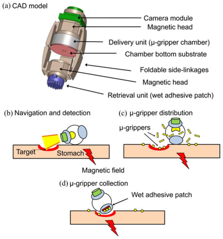 Fig. 2