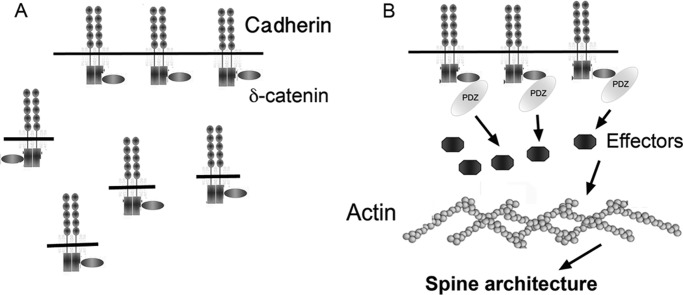 FIGURE 9.