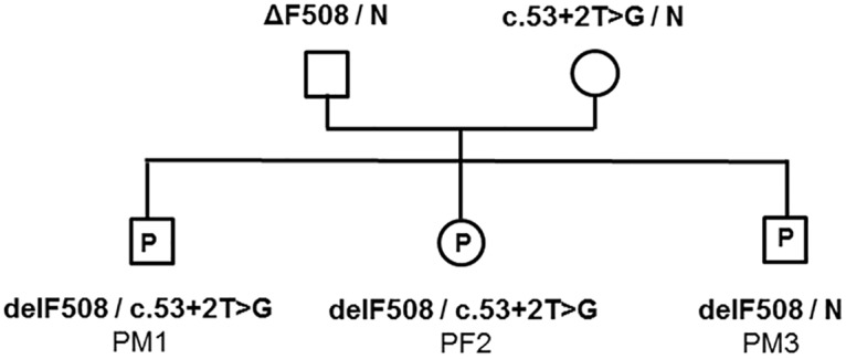 Fig 1