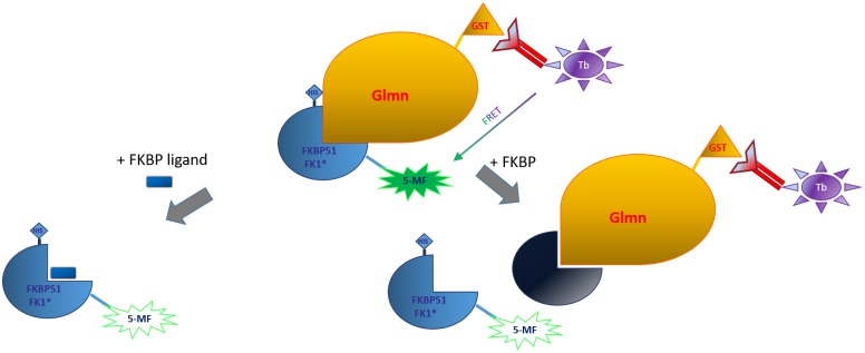 Fig 1