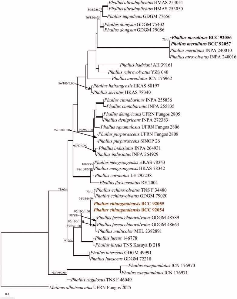 Figure 1.