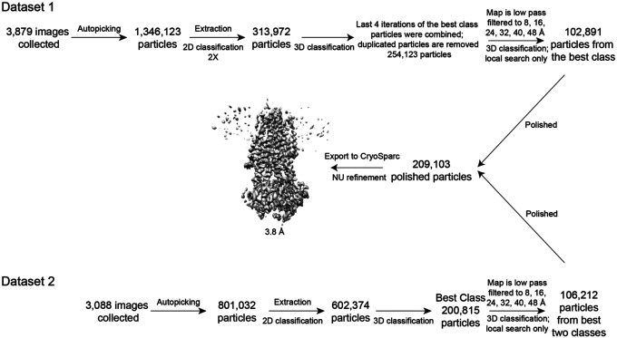 Extended Data Figure 2.