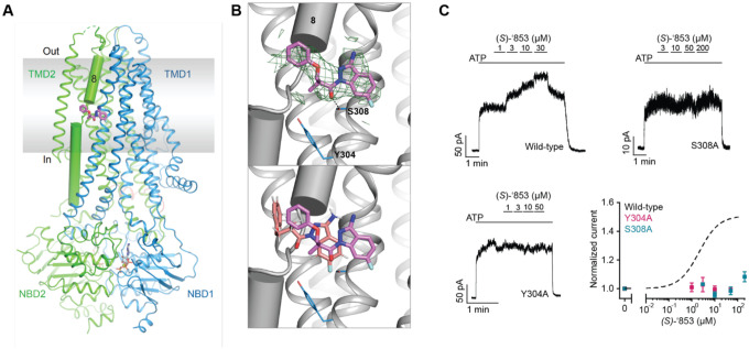 Figure 3: