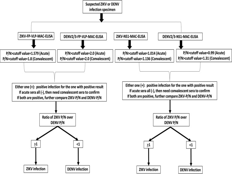 FIG 6