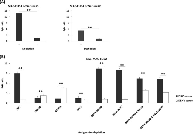 FIG 2