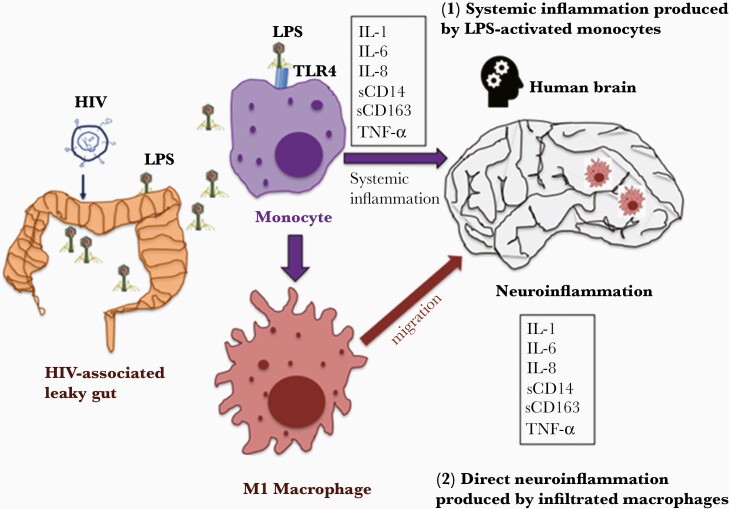 Figure 3.