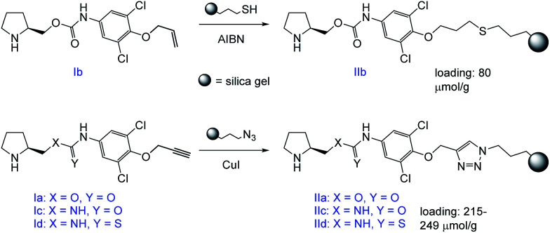 Scheme 4