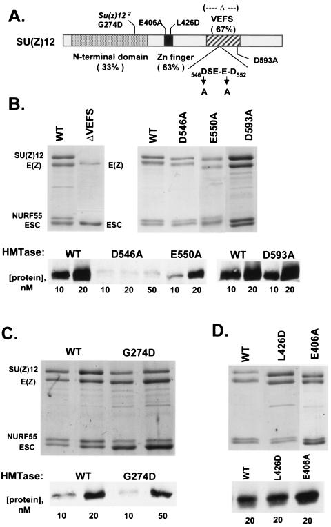 FIG. 5.