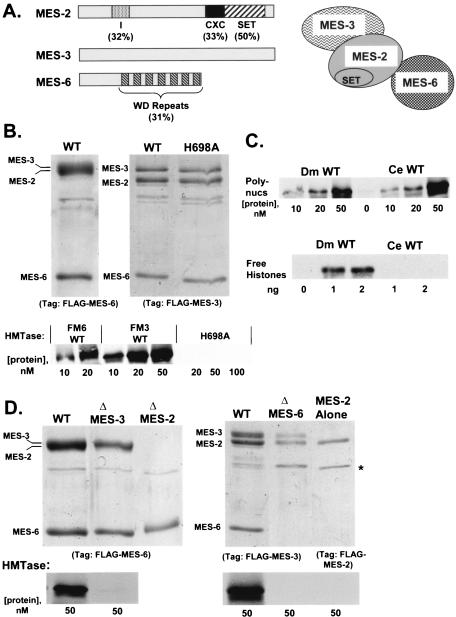 FIG. 6.