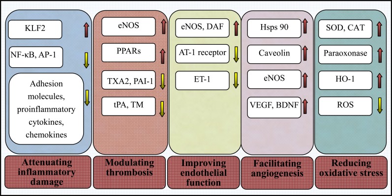 Fig. (1)