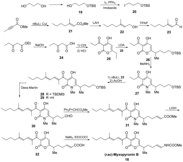 Scheme 5