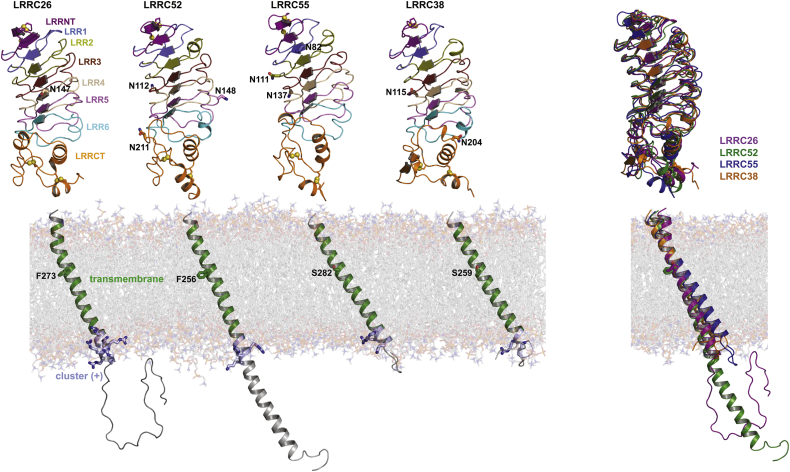 Figure 1