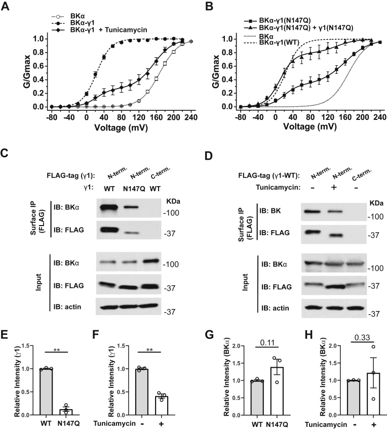 Figure 5