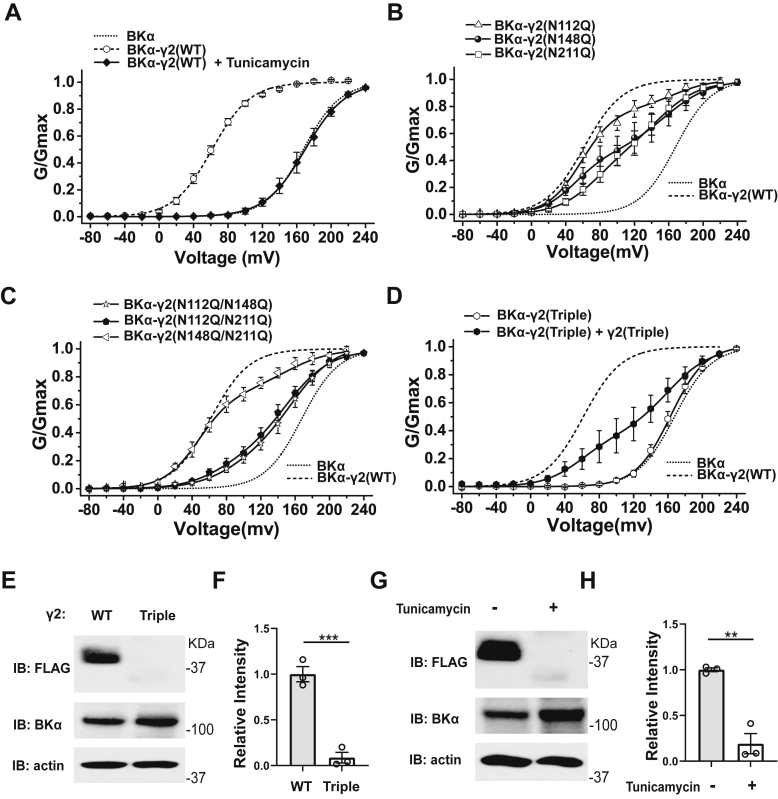 Figure 6