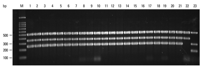 Fig. 5