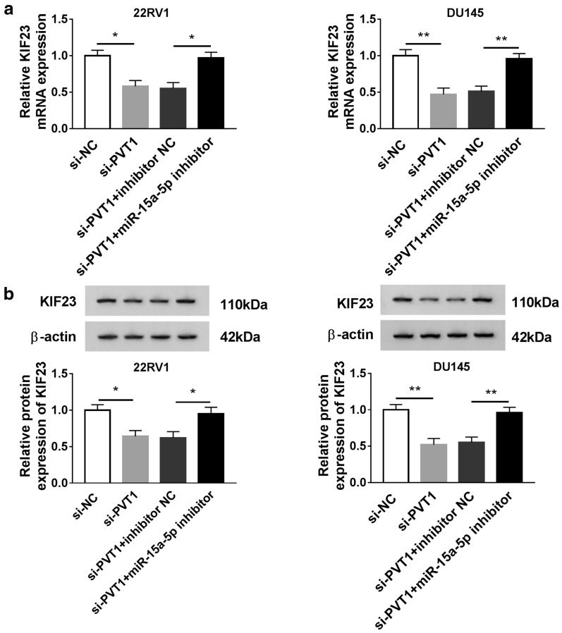 Fig. 6