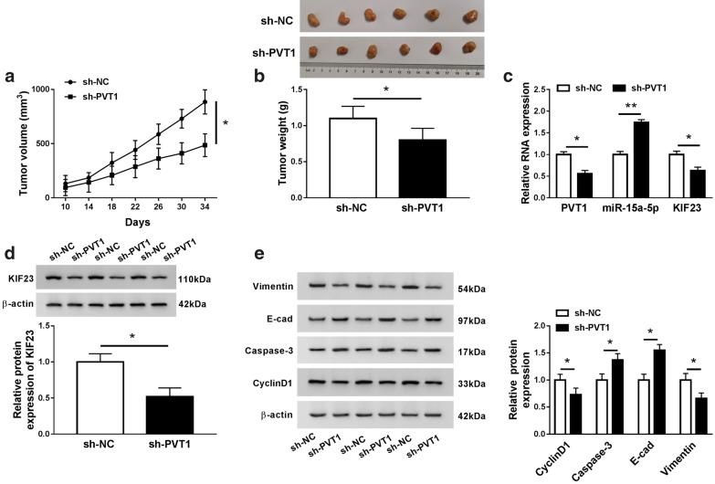 Fig. 7