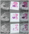 Fig. 2