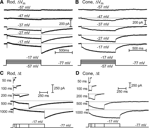 Fig. 8.