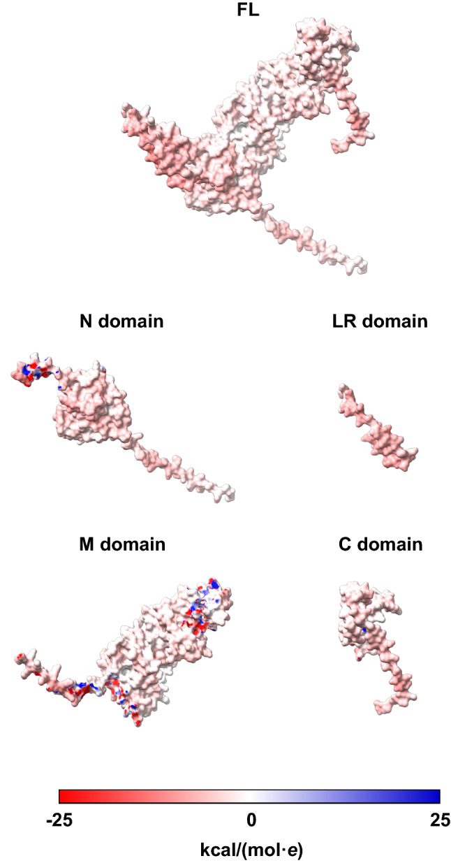 Fig. 10