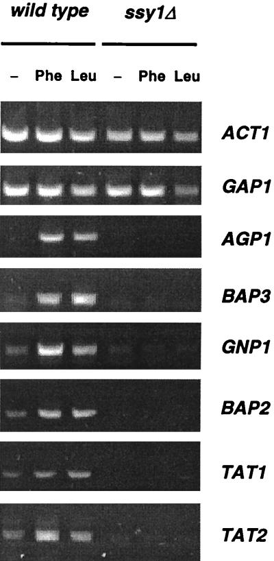 FIG. 7