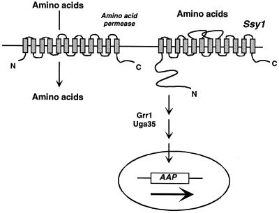 FIG. 8