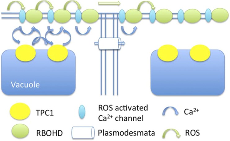 Figure 6.