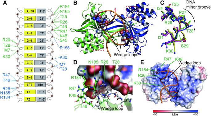 Figure 4.