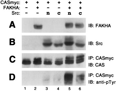 FIG. 6