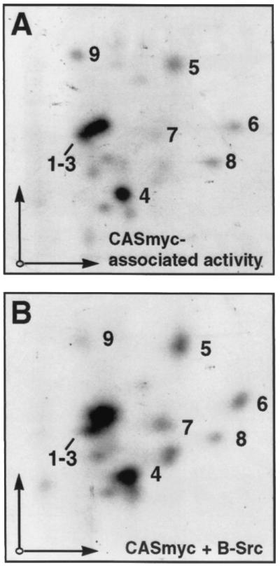 FIG. 5