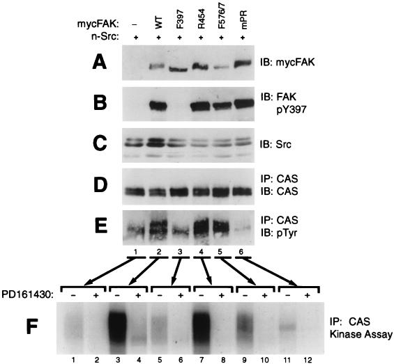 FIG. 7