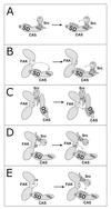 FIG. 1
