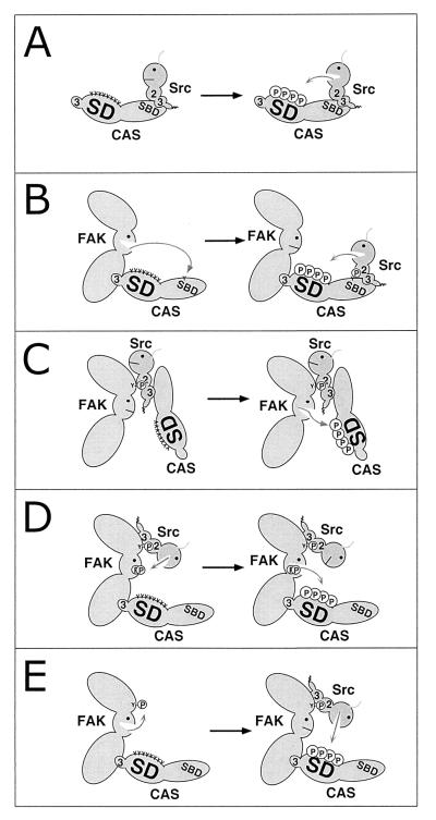 FIG. 1