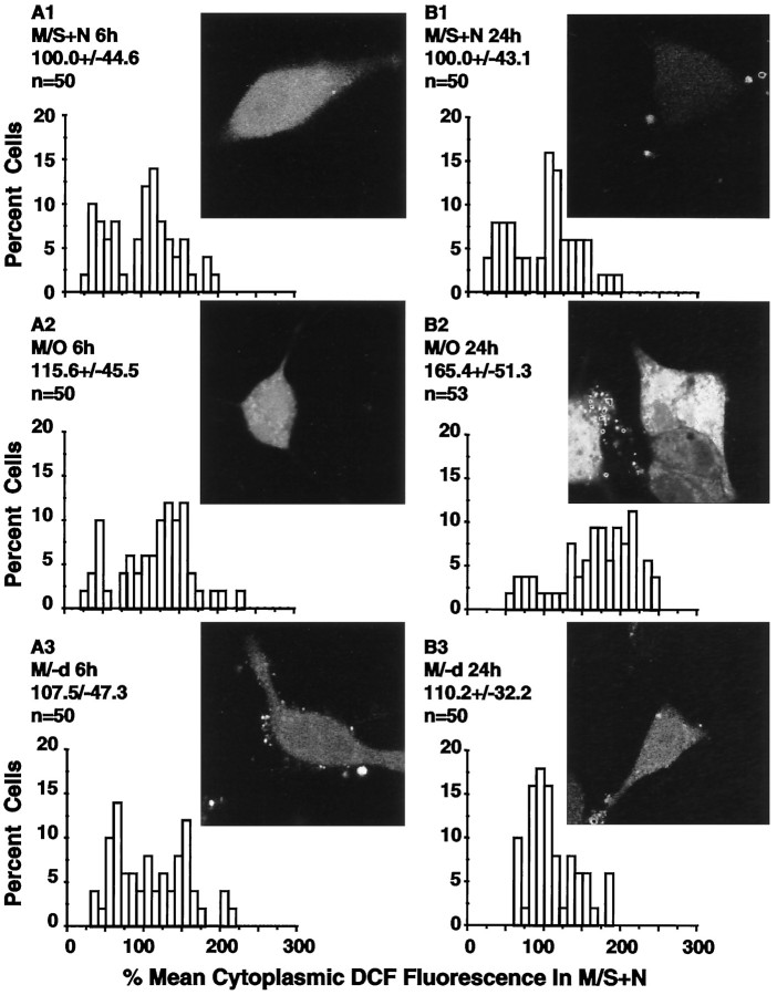 Fig. 9.