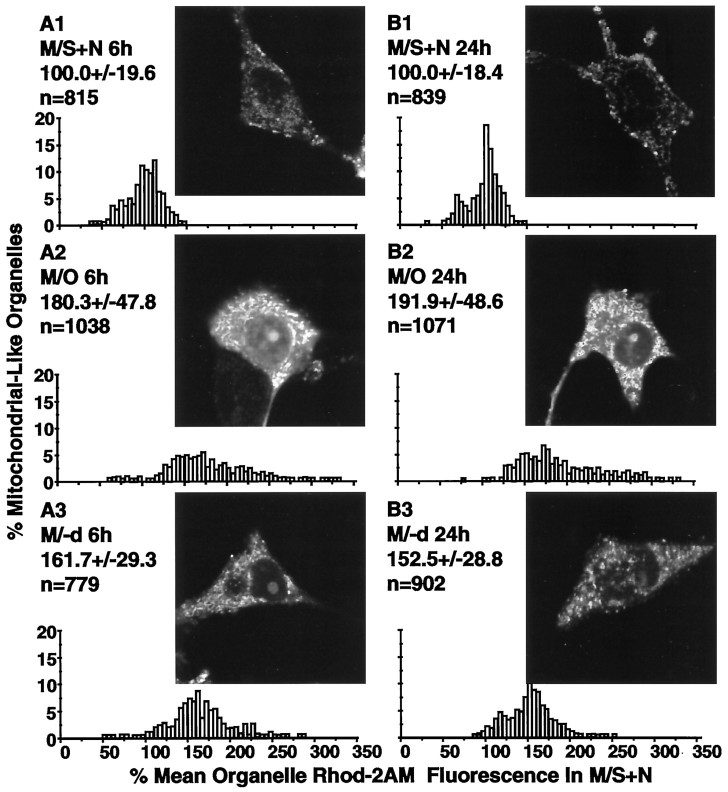 Fig. 8.