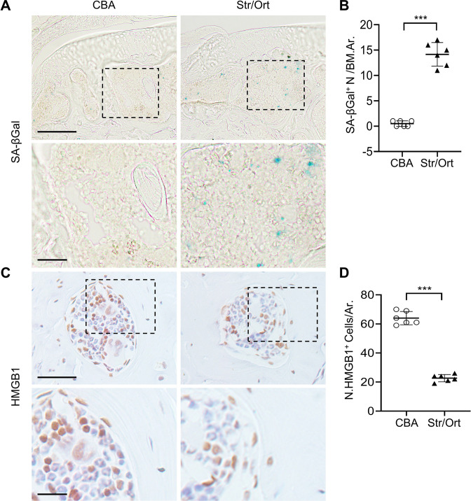 Figure 3—figure supplement 2.