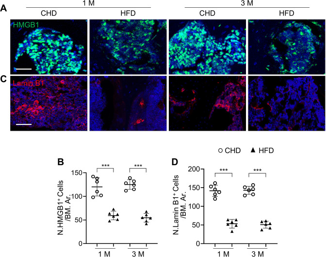 Figure 3—figure supplement 1.