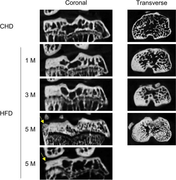 Figure 1—figure supplement 2.