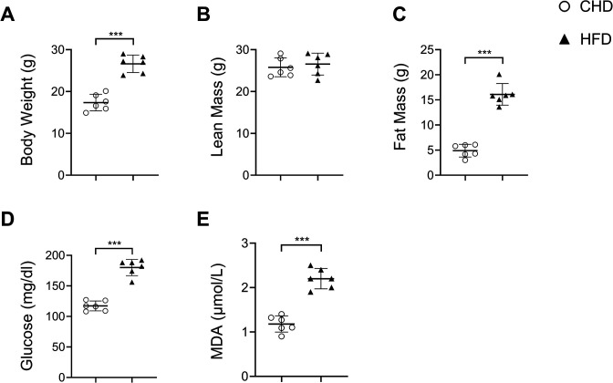 Figure 1—figure supplement 1.