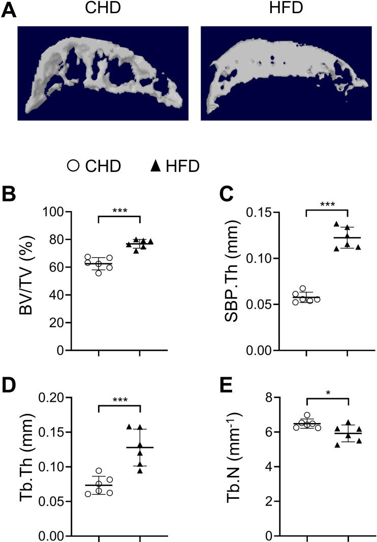 Figure 1—figure supplement 3.