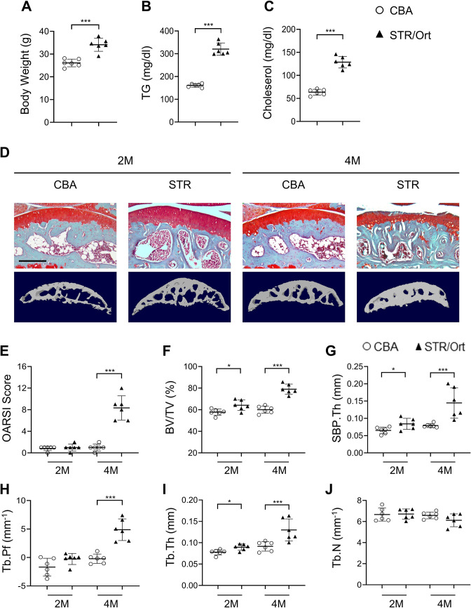 Figure 1—figure supplement 4.