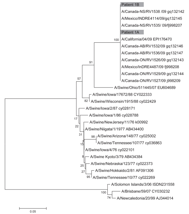 Figure 4)