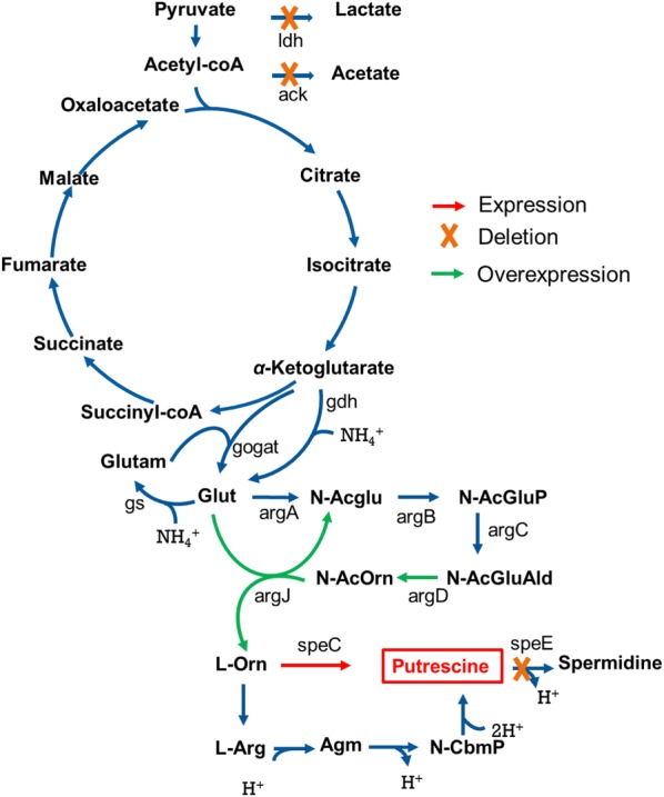 Fig. 1