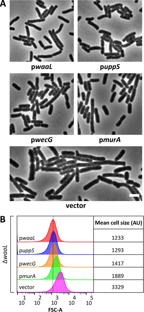 FIG 4